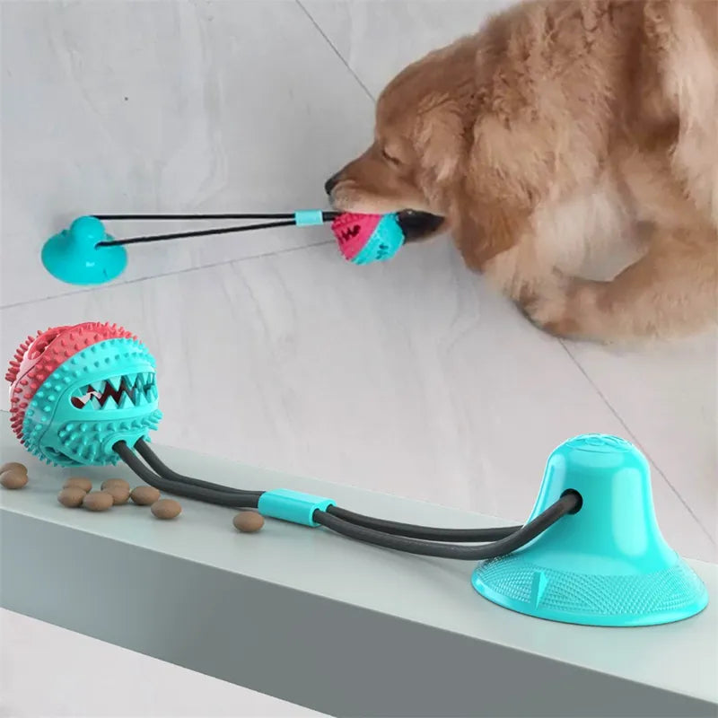 TugSpot Suction Cup Tug Toy for Dogs