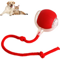 TumbleBall Self-Rolling Pet Toy